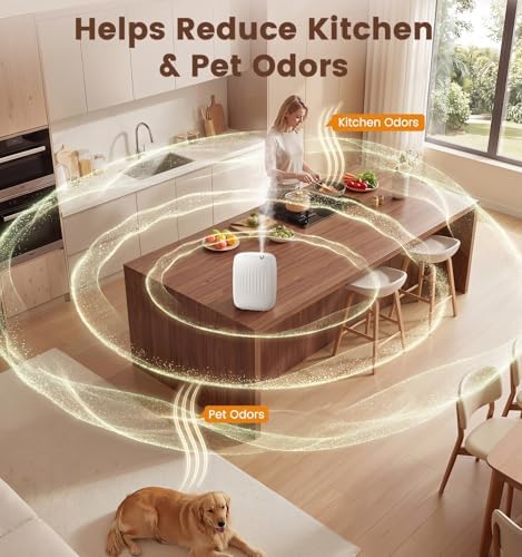 Ziweo Waterless Essential Oil Diffuser 2 x 100mL Hotel Scent Oil, 3000sq.ft - Image 7