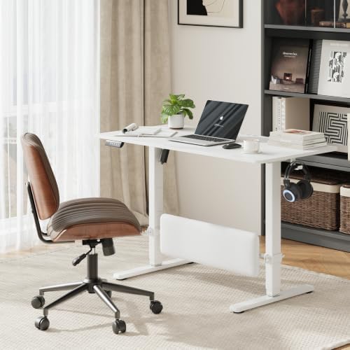 MALOL 47" x 24" Height Adjustable Electric Standing Desk, White by MALOL