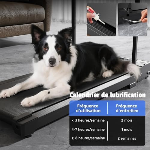 Walking Pad Treadmill for Home Under Desk Caminadora Eléctrica para Casa - Image 4