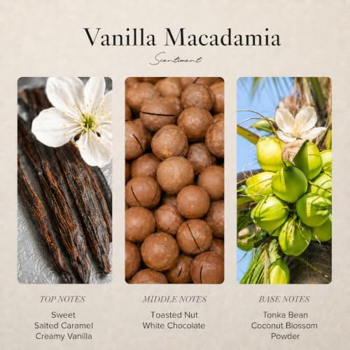 Scentiment Vanilla Macadamia Diffuser Oil - Hotel Scent -4.06 fl oz(120 mL) - Image 3