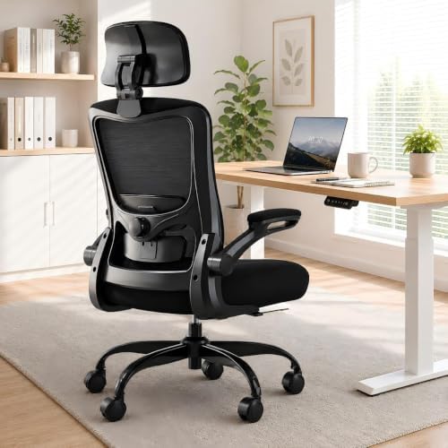 Ergonomic Office Chair for Long Hours, Adjustable Padded Lumbar Support for Lower Back Relief, 330 lb Capacity, Comfortable Computer Desk Chair for Home Office, Work & Study, Black/Black by DesignedforFocusedHours