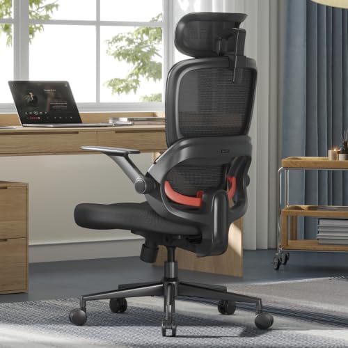 SIHOO B100 SE Ergonomic Office Chair, Desk Chair with Lumbar Support by SIHOO