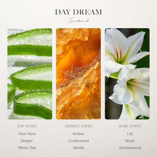 Scentiment Day Dream Hotel Diffuser Oil - Hotel Scent - 1.69 fl oz (50 mL) - Image 3