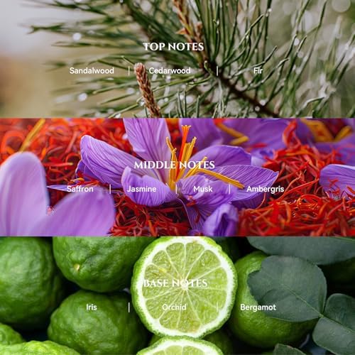 Blacktail Ridge Diffuser Oil Inspired by Baccarat Luxury Hotel Scent,100 mL - Image 2