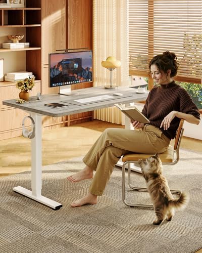 FLEXISPOT EN1 48"x24" One-Piece Standing Desk, Gray Wood - Image 2