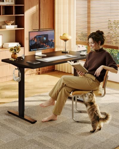 FLEXISPOT EN1 48"x24" One-Piece Standing Desk, Black (Black Frame) - Image 2